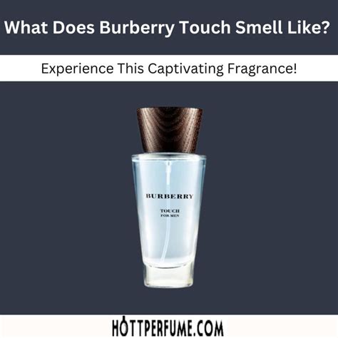 fragrance notes in burberry|what does burberry smell like.